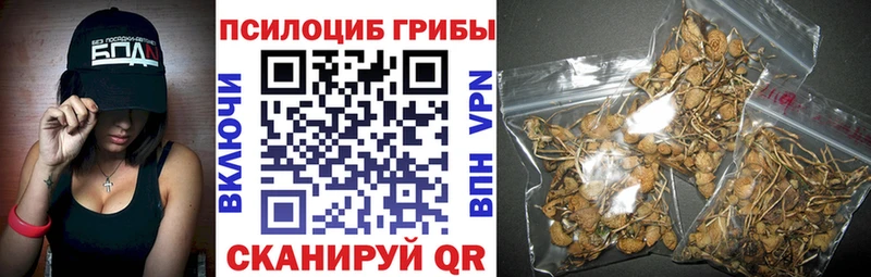купить наркотик Светогорск Галлюциногенные грибы прущие грибы